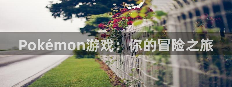杏鑫官网