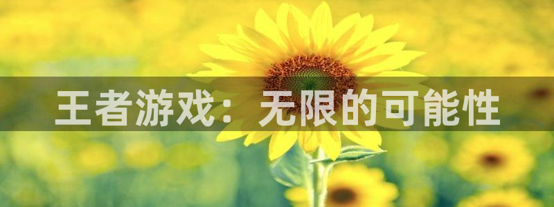 杏鑫平台正规吗可信吗：王者游戏：无限的可能性