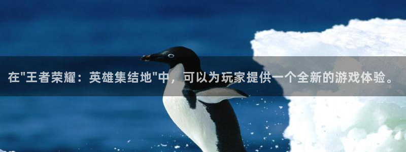 杏鑫平台直属哪个公司