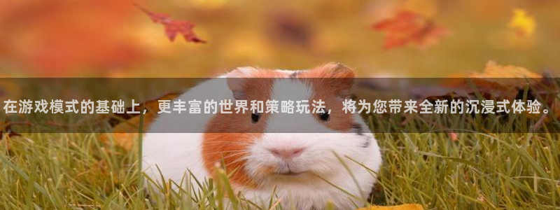 杏鑫注册登陆