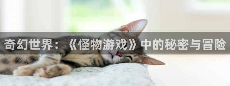 杏鑫平台正规吗是真的吗