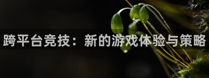杏鑫注册地址：跨平台竞技：新的游戏体验与策略