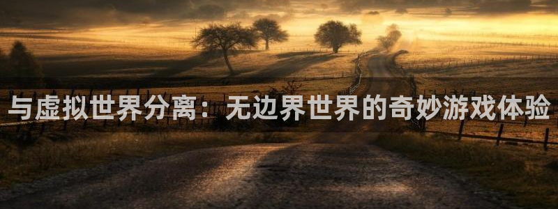 杏鑫平台直属：与虚拟世界分离：无边界世界的奇妙游戏体验