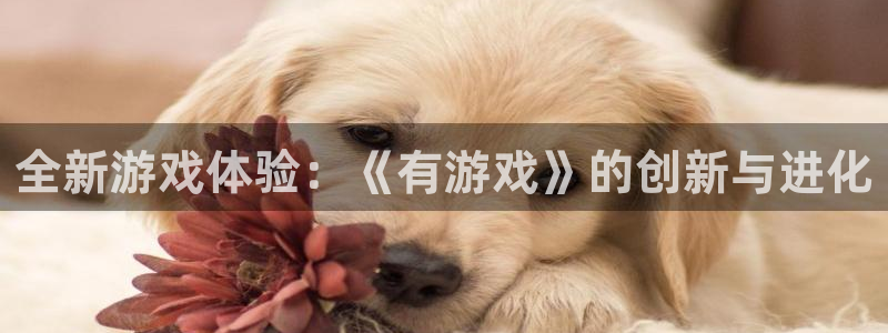 杏鑫娱乐：全新游戏体验：《有游戏》的创新与进化