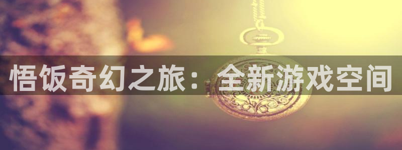 杏鑫客服个人工作总结：悟饭奇幻之旅：全新游戏空间