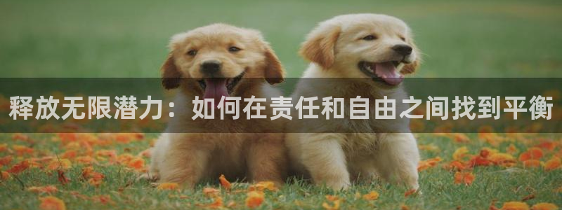 杏鑫代理登录中心在哪