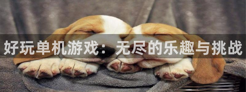 杏鑫注册平台官方网站下载安装：好玩单机游戏：无尽的乐趣与挑战