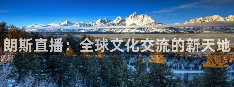 24直播免费篮球球直播