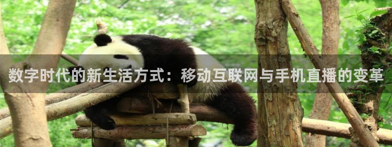 nba直播免费24直播网：数字时代的新生活方式：移动互联网与手机直播的变革