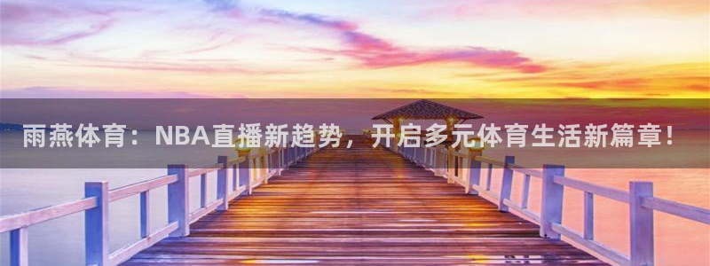 24直播网体育在线直播nba：雨燕体育：NBA直播新趋势，开启多元体育生活新篇章！