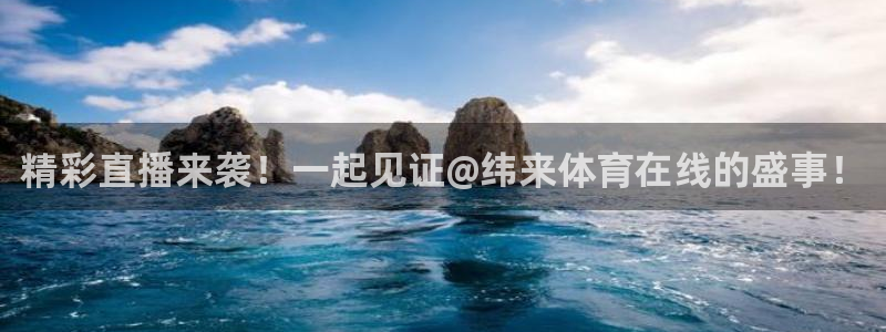 24直播体育网：精彩直播来袭！一起见证@纬来体育在线的盛事！