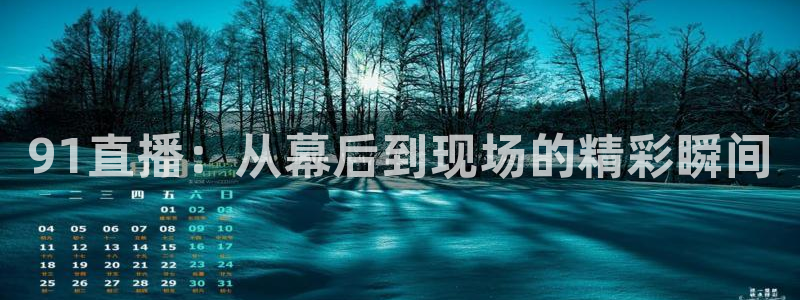 24直播网篮球免费直播：91直播：从幕后到现场的精彩瞬间